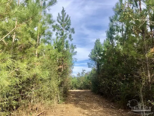 Pace, FL 32571,Lot 6 BS Buffalo Ridge Rd