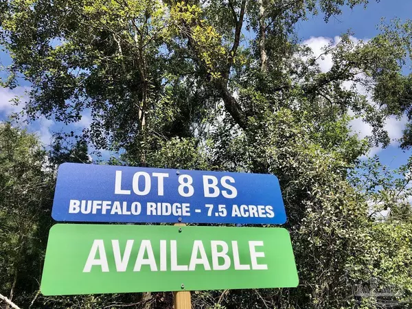 Pace, FL 32571,Lot 8 BS Buffalo Ridge Rd