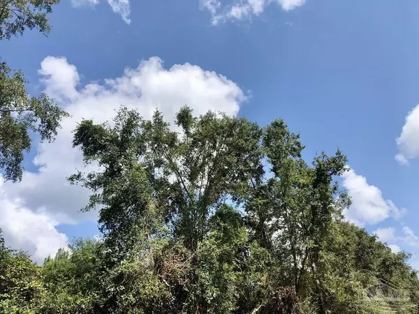 Pace, FL 32571,Lot 8 BS Buffalo Ridge Rd