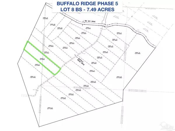 Pace, FL 32571,Lot 8 BS Buffalo Ridge Rd