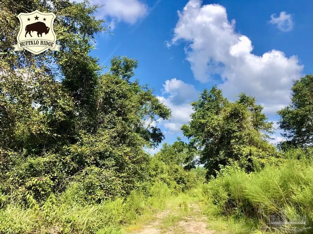 Pace, FL 32571,Lot 9 BS Buffalo Ridge Rd