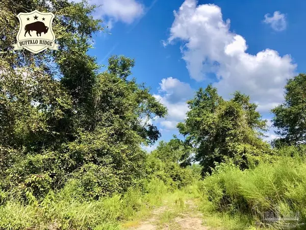 Lot 9 BS Buffalo Ridge Rd, Pace, FL 32571