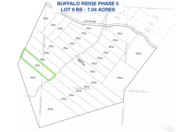 Pace, FL 32571,Lot 9 BS Buffalo Ridge Rd