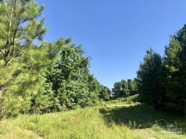 Pace, FL 32571,Lot 9 BS Buffalo Ridge Rd