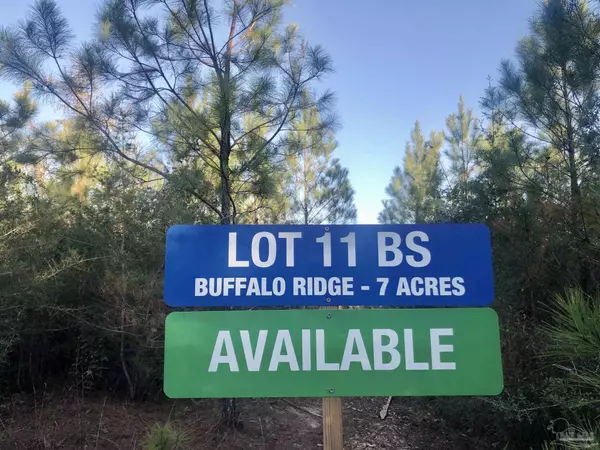 Pace, FL 32571,Lot 11 BS Buffalo Ridge Rd