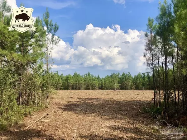 Lot 14 BS Buffalo Ridge Rd, Pace, FL 32571