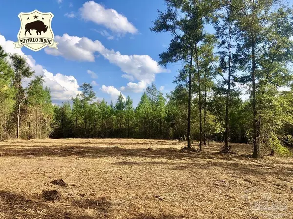 Lot 18 BS Buffalo Ridge Rd, Pace, FL 32571