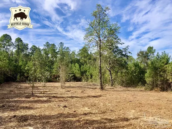 Pace, FL 32571,Lot 25 BS Glacier Dr