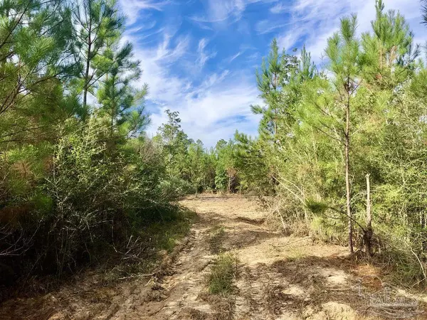 Pace, FL 32571,Lot 26 BS Glacier Dr