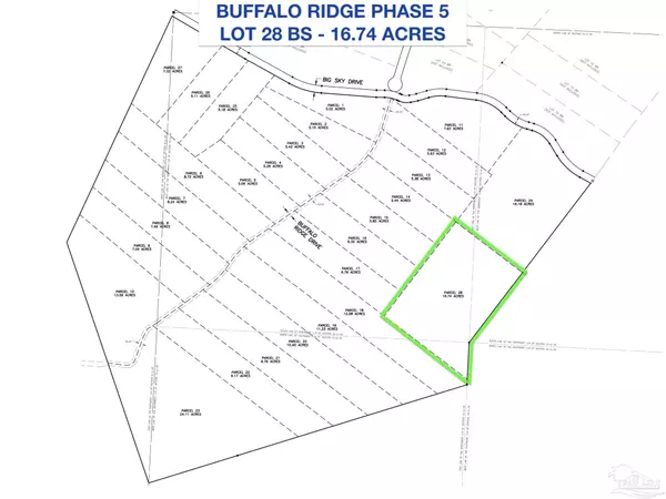 Pace, FL 32571,Lot 28 BS Buffalo Ridge Rd