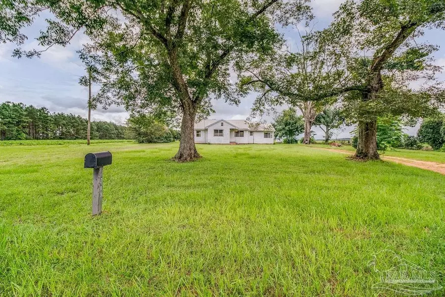 610 County Rd 97-A, Mcdavid, FL 32568