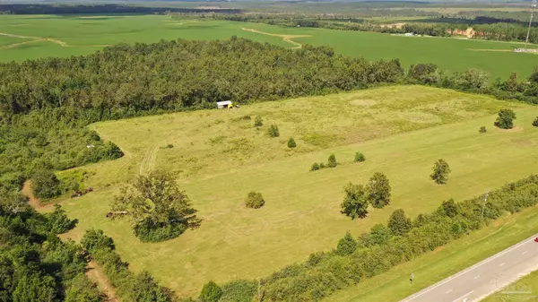 Molino, FL 32577,8000 N Hwy 29