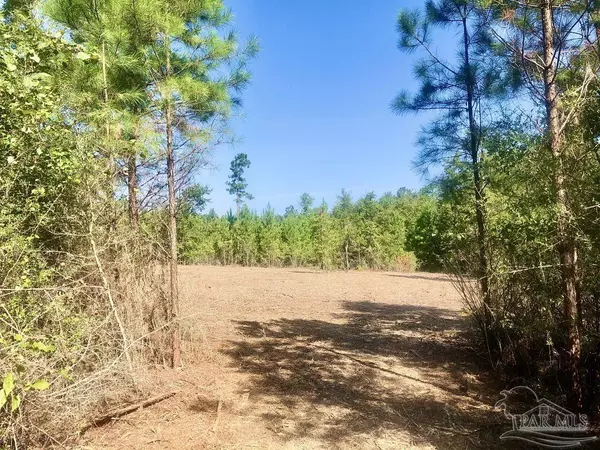 Pace, FL 32571,Lot 4 BS Buffalo Ridge Rd