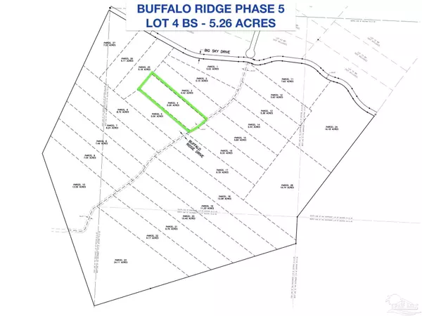 Pace, FL 32571,Lot 4 BS Buffalo Ridge Rd