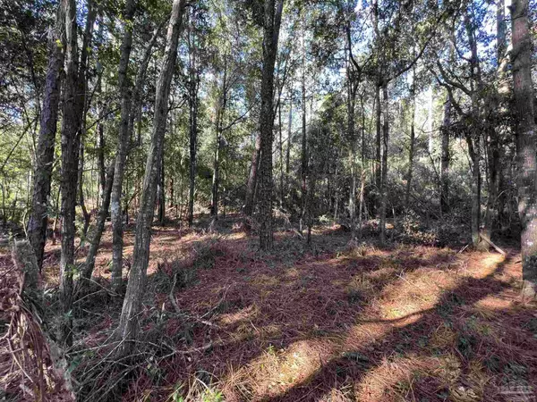 Pace, FL 32571,lot 17/D Crystal Creek Dr