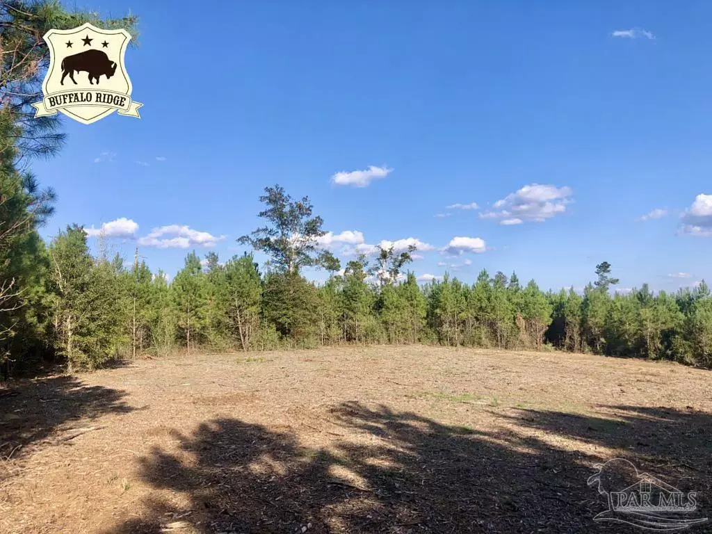 Pace, FL 32571,Lot 16 BS Buffalo Ridge Rd