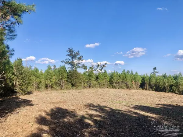 Pace, FL 32571,Lot 16 BS Buffalo Ridge Rd