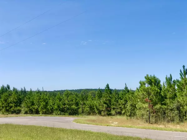 Pace, FL 32571,Lot 23 MBN Molino Bridge Rd