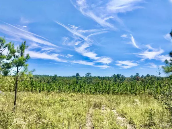 Lot 23 MBN Molino Bridge Rd, Pace, FL 32571