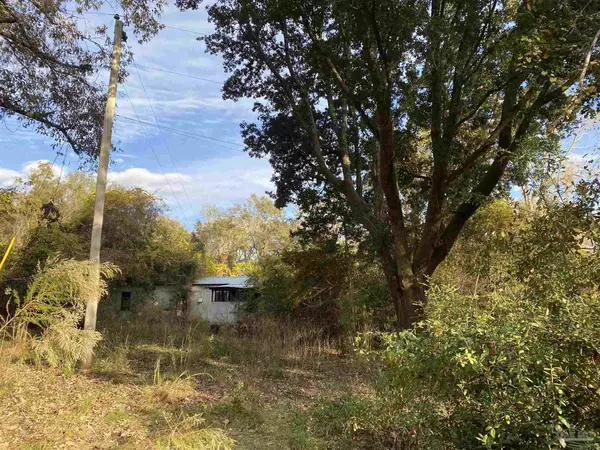 Jay, FL 32565,8862 Little Paul Ln