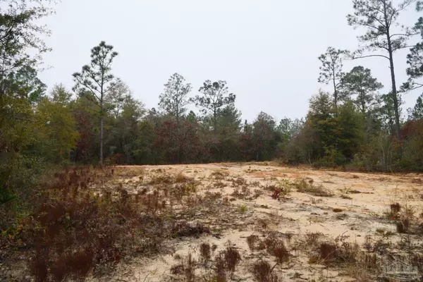 Defuniak Springs, FL 32433,Lot 48 Clearwater Dr