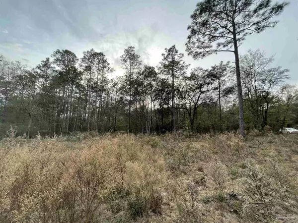 Milton, FL 32570,American Farms Rd