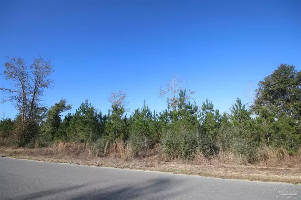 Pace, FL 32571,Lot 23 Buffalo Ridge Rd