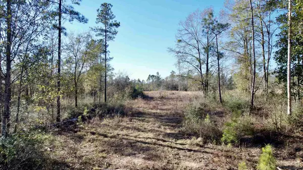 Pace, FL 32571,Lot 40 BR Buffalo Ridge Rd