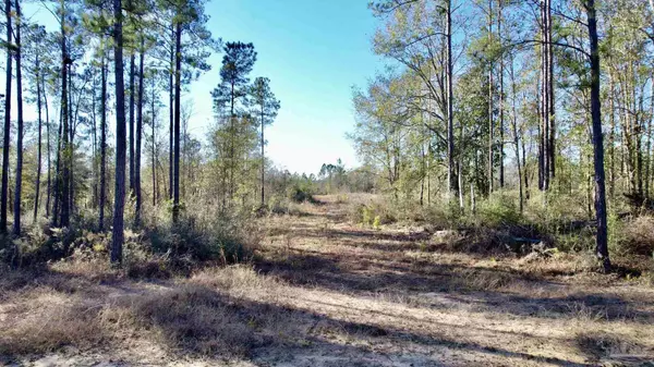 Pace, FL 32571,Lot 40 BR Buffalo Ridge Rd