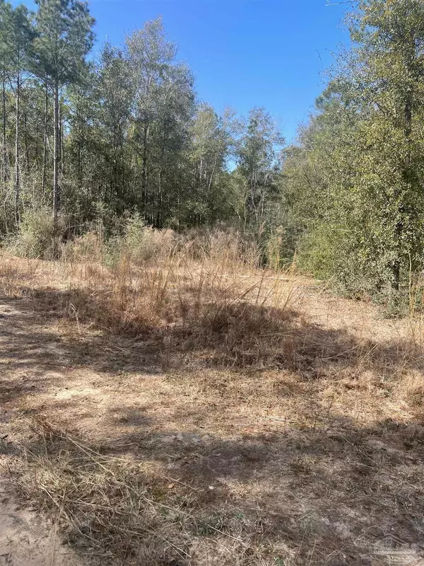Milton, FL 32570,5535 Shepherds Ln