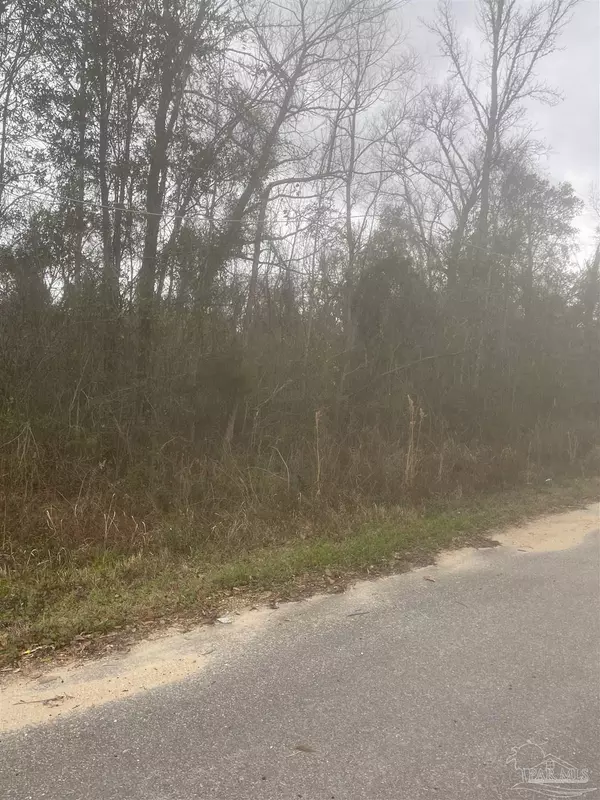 Molino, FL 32577,1100 Mckinnonville Rd