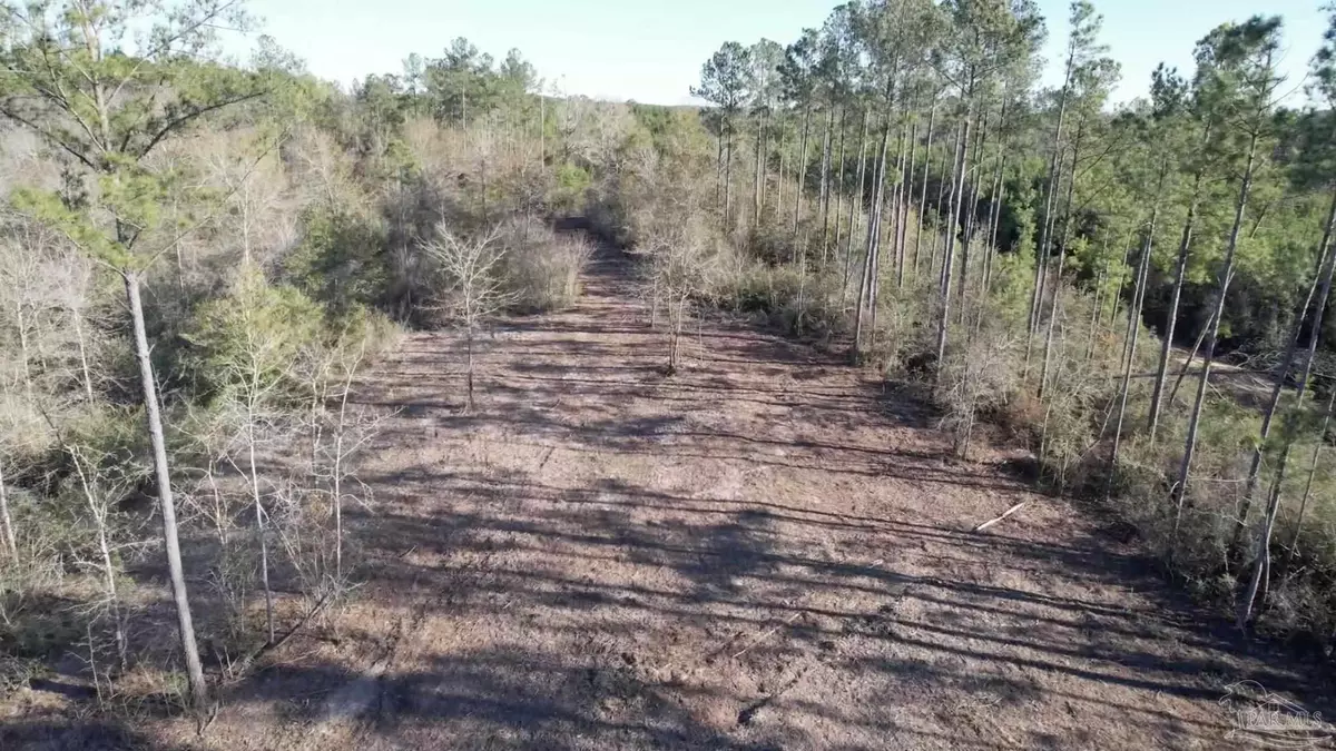 Pace, FL 32571,Lot 42 BR Buffalo Ridge Rd