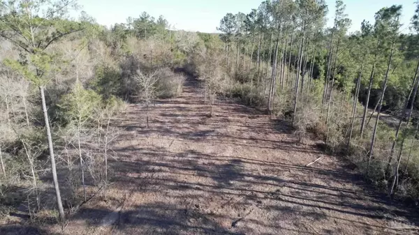 Lot 42 BR Buffalo Ridge Rd, Pace, FL 32571