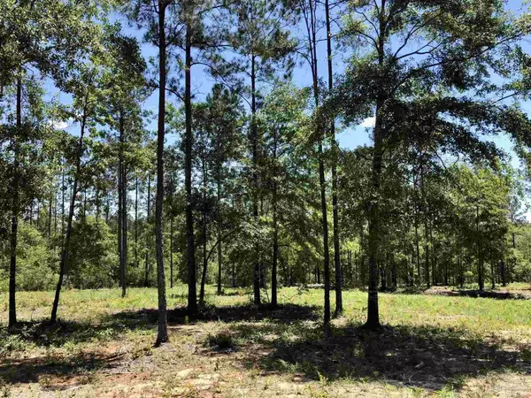 Lot 72 & 73 BR Cascade Dr, Pace, FL 32571