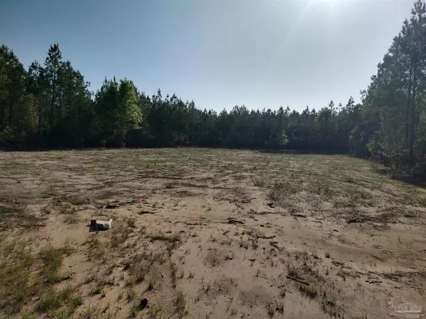 Pace, FL 32571,0000 Steele Meadow Dr