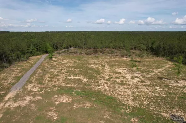 Pace, FL 32571,7047 Hidden Forest Trail