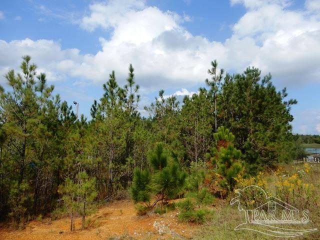 Atmore, AL 36502,6000 Block Hwy 21
