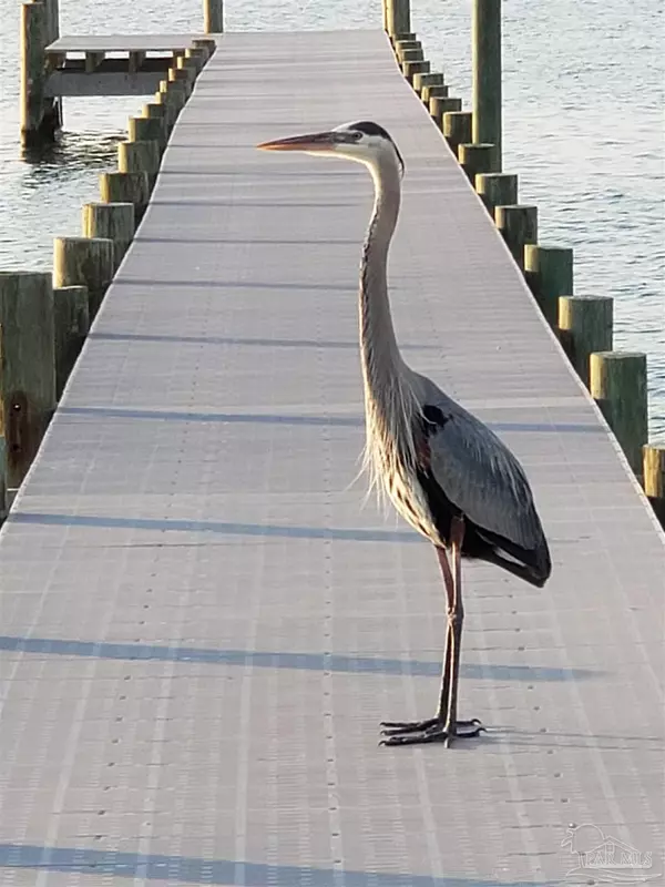 Pensacola Beach, FL 32561,1100 Ft Pickens Rd