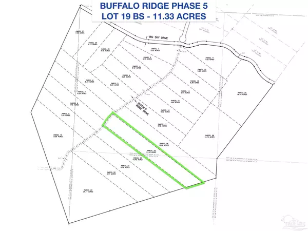 Pace, FL 32571,Lots 19 & 20 BS Buffalo Ridge Rd