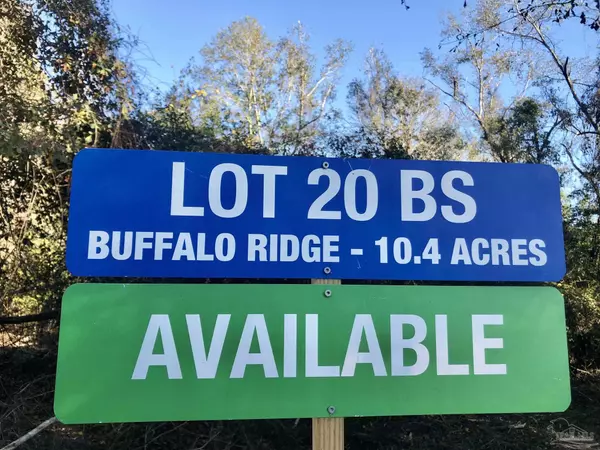 Pace, FL 32571,Lots 19 & 20 BS Buffalo Ridge Rd