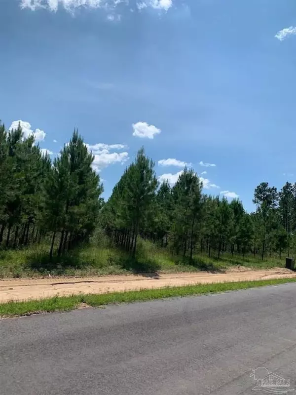 Pace, FL 32571,lot 58 Sage Forest Ln