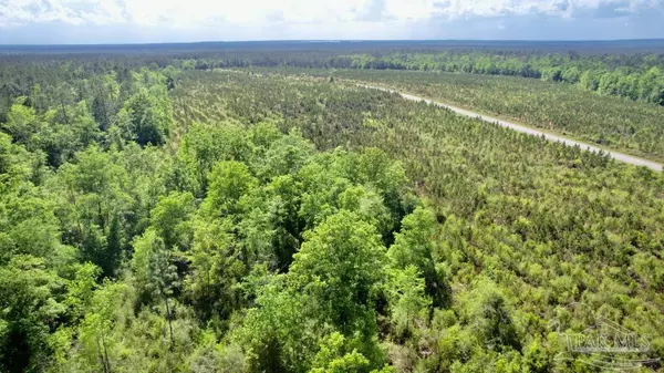 Jay, FL 32565,Lot 20 Mineral Springs Rd