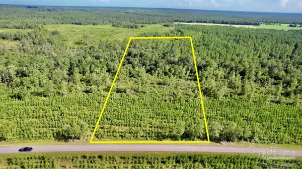 Jay, FL 32565,Lot 20 Mineral Springs Rd