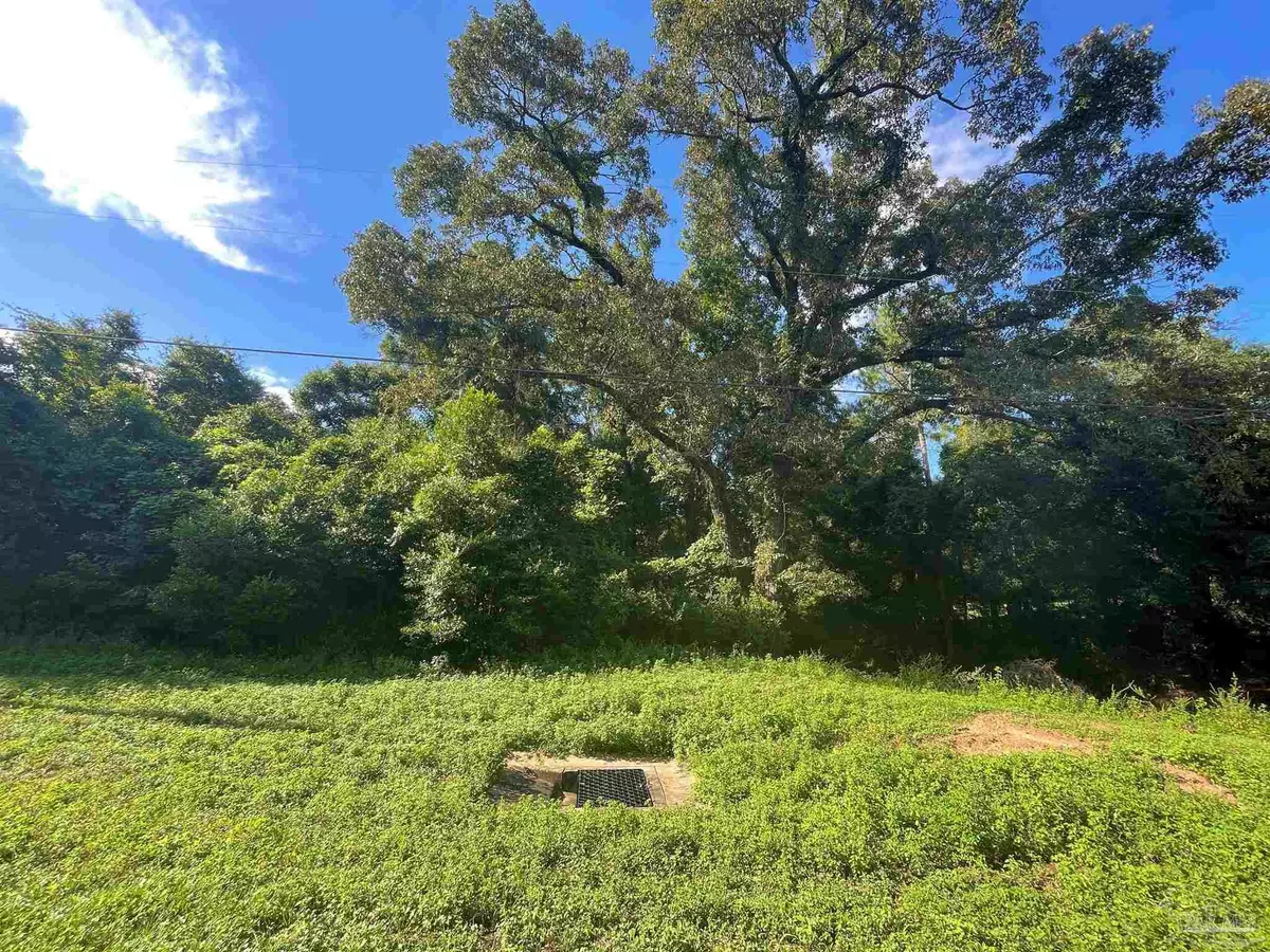 Jay, FL 32565,Lot 2 Mart Jernigan Rd