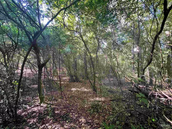 Jay, FL 32565,Lot 2 Mart Jernigan Rd