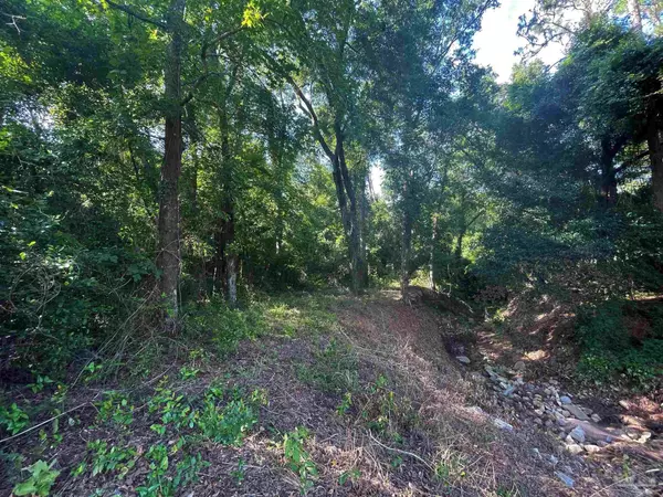 Jay, FL 32565,Lot 2 Mart Jernigan Rd