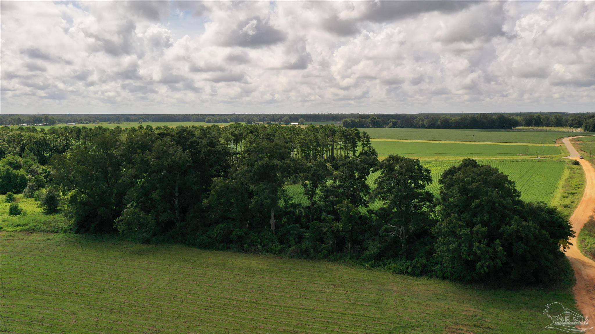 Atmore, AL 36502,Jack Springs Rd