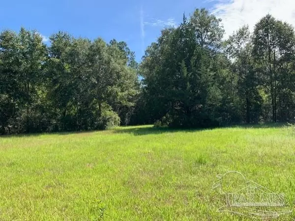 Molino, FL 32577,6445 Barrineau Ln