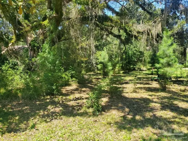 Milton, FL 32583,Bayside Blvd