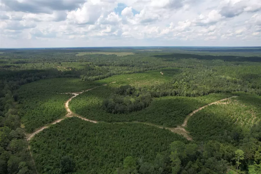 9000 Hwy 29, Molino, FL 32577
